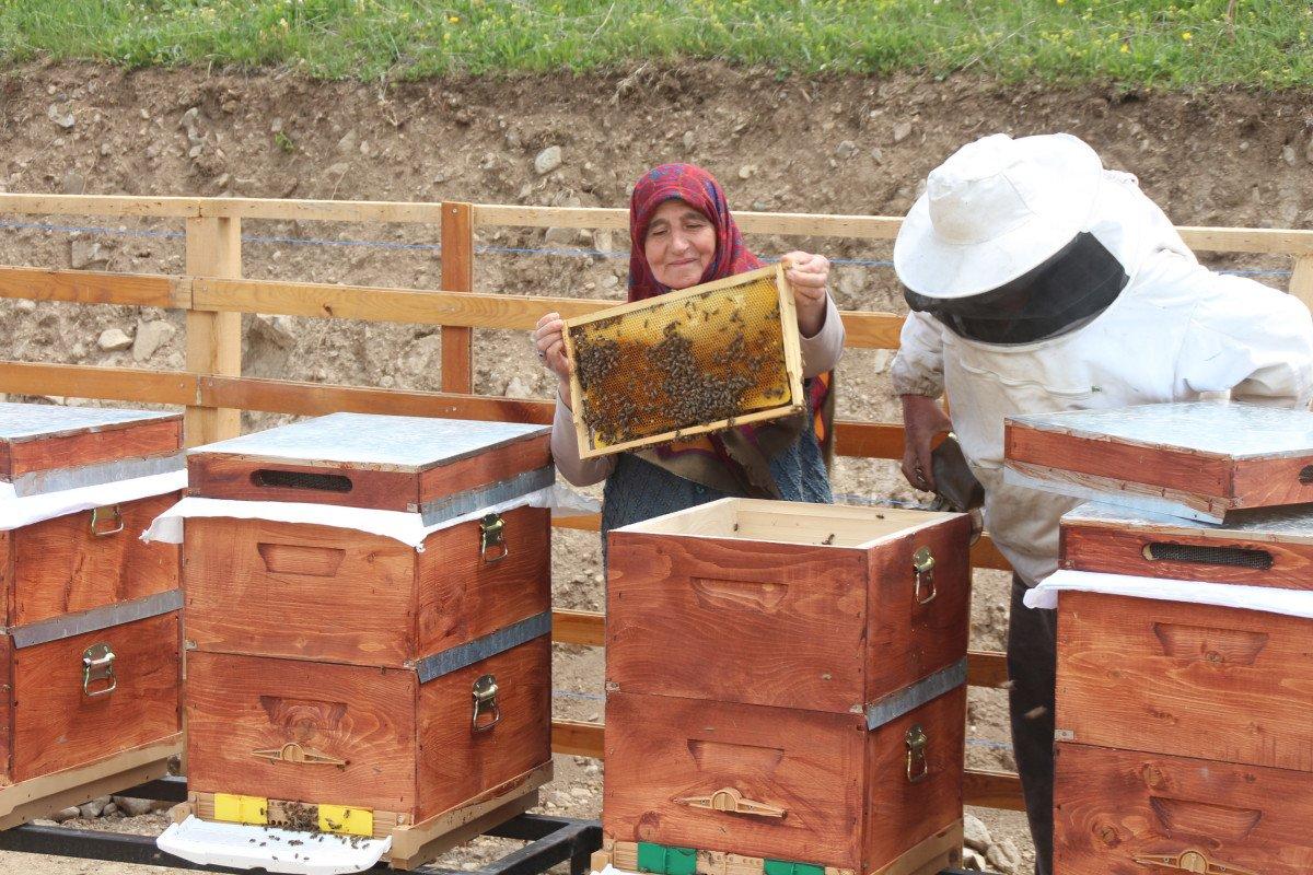 Anzer balının kilosu 1200 TL oldu, 1 ton sipariş var