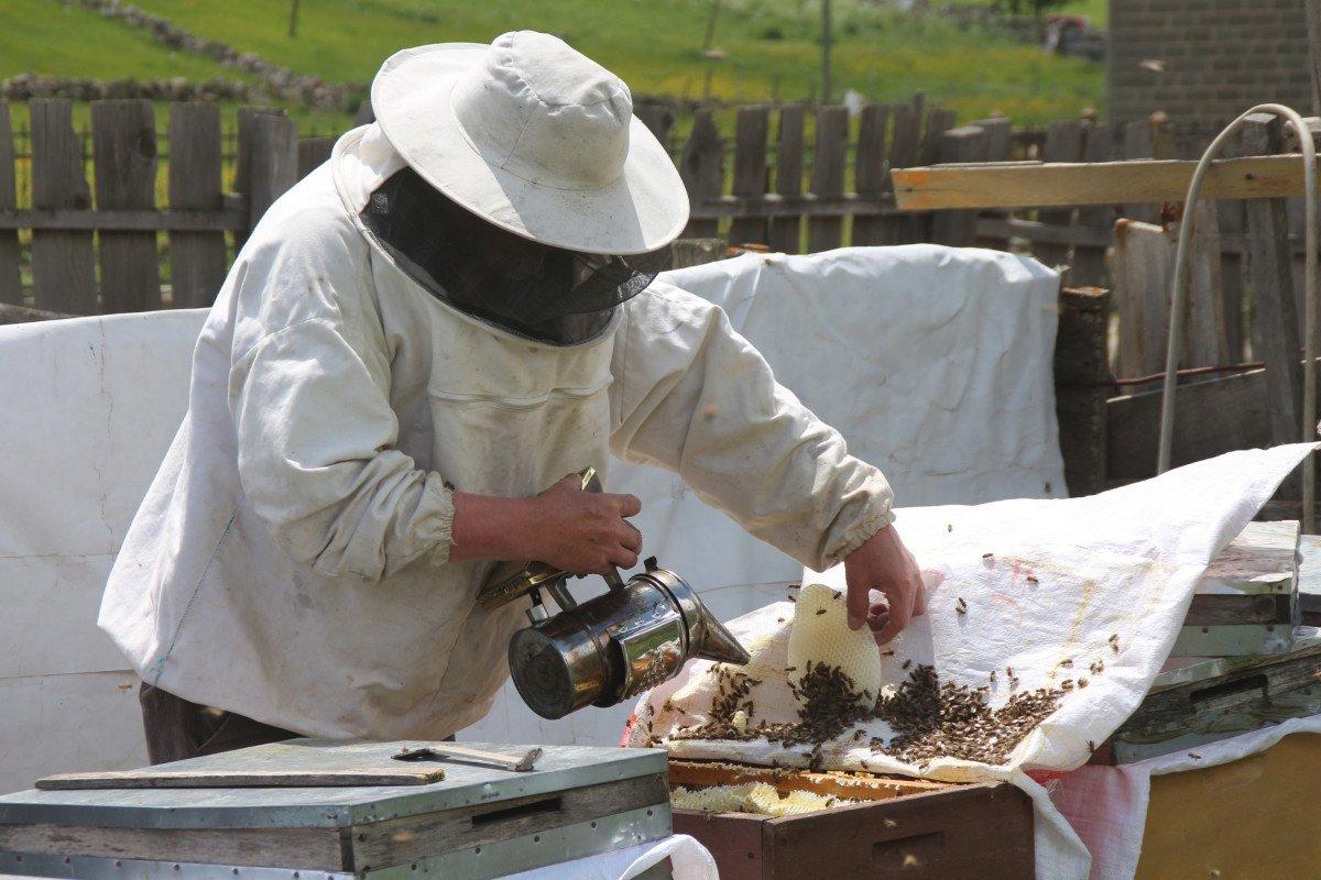 Anzer balının kilosu 1200 TL oldu, 1 ton sipariş var