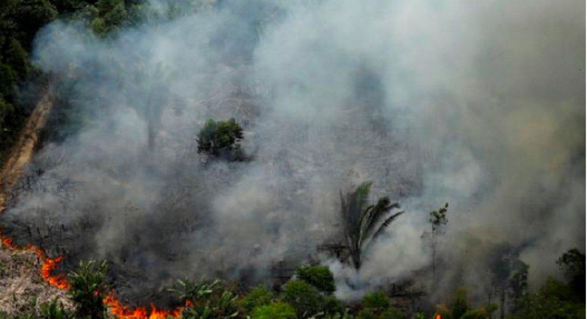 Brezilya Amazonlarında yangınlar ağustos ayında beş kat arttı