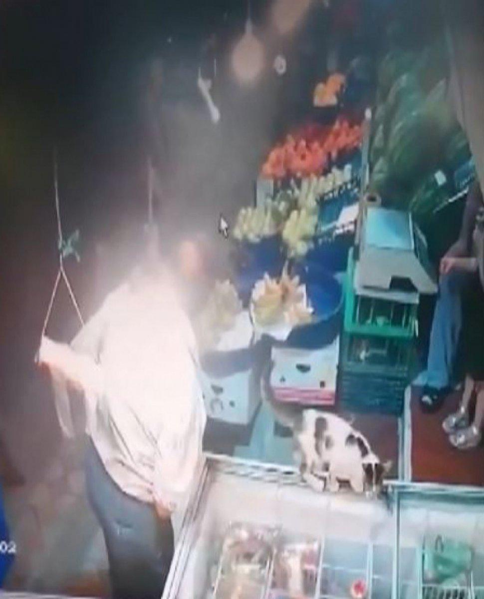 Sultangazi'de köpekten kaçan kedinin güldüren anları