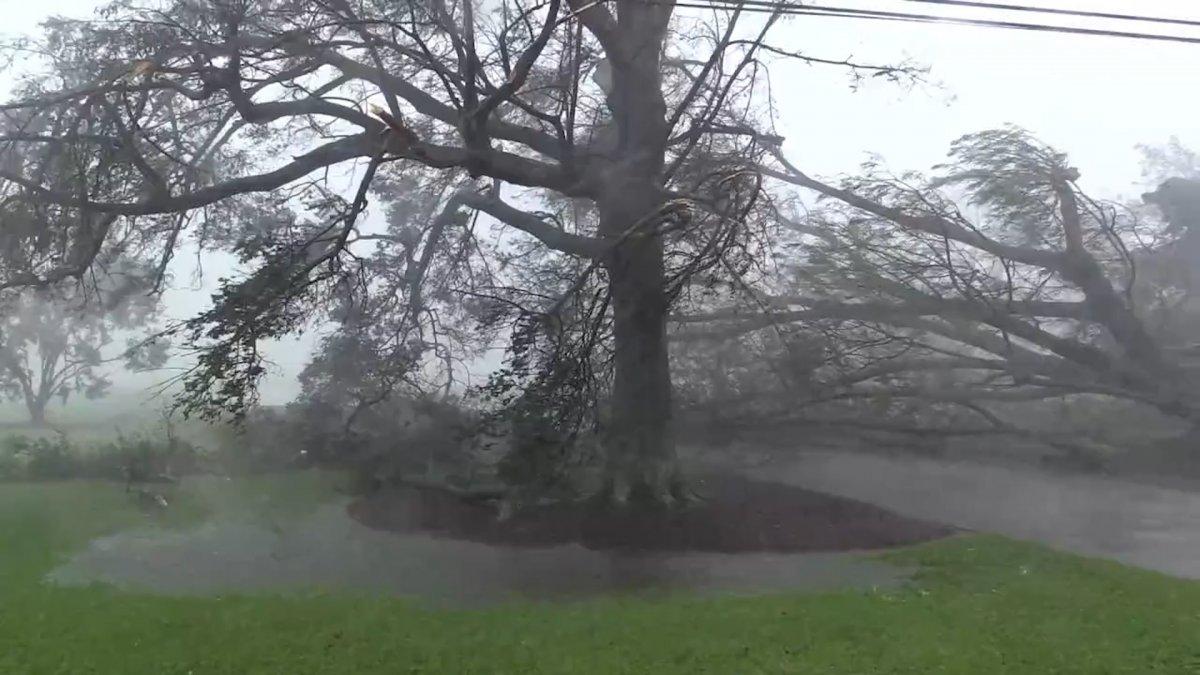 Louisiana'da Ida kasırgası çatıları uçurdu