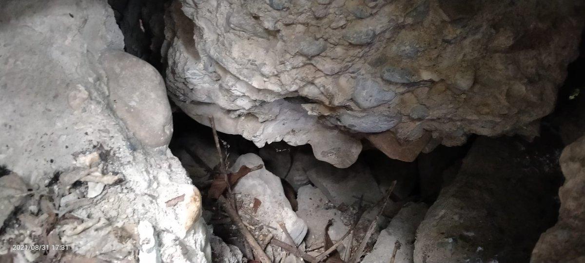 Karabük'te itfaiyeciler yavru köpekleri kurtarmak için uğraştı