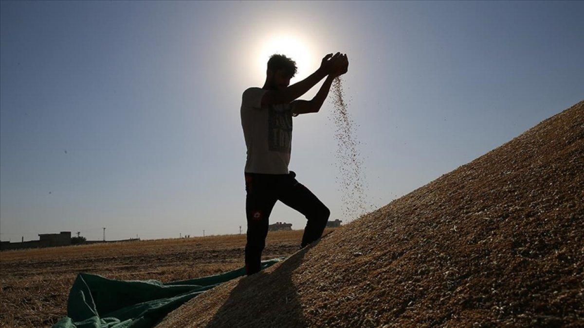Çiftçilere 'kuraklık' desteği