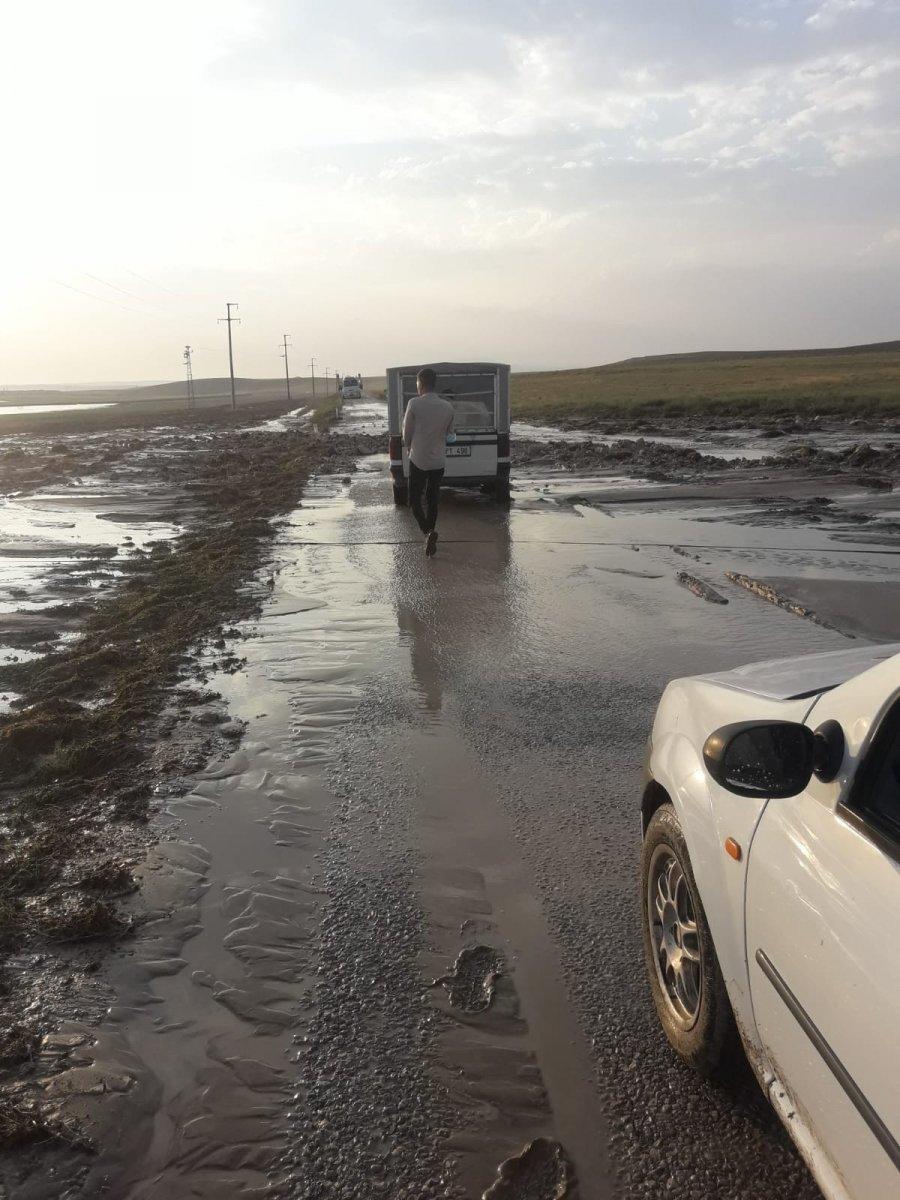 Ankara'da selde çok sayıda küçükbaş hayvan telef oldu