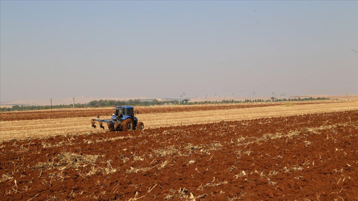 Çiftçilere 'kuraklık' desteği