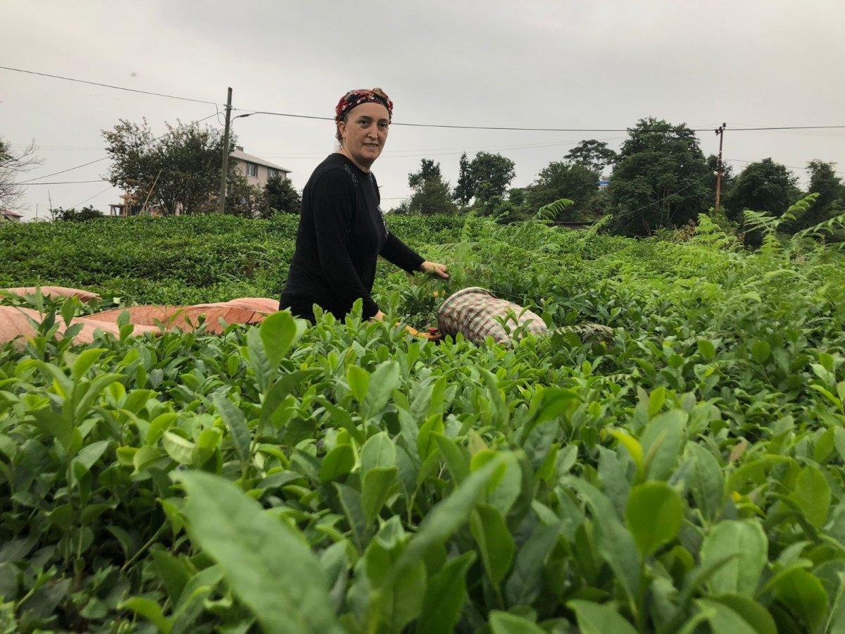 ÇAYKUR genel müdürlüğü açıklama yaptı