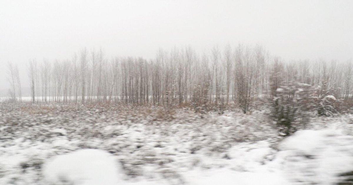 'Acı ve Tatlı' belgeseli Kazan Film Festivali'nde yarışacak