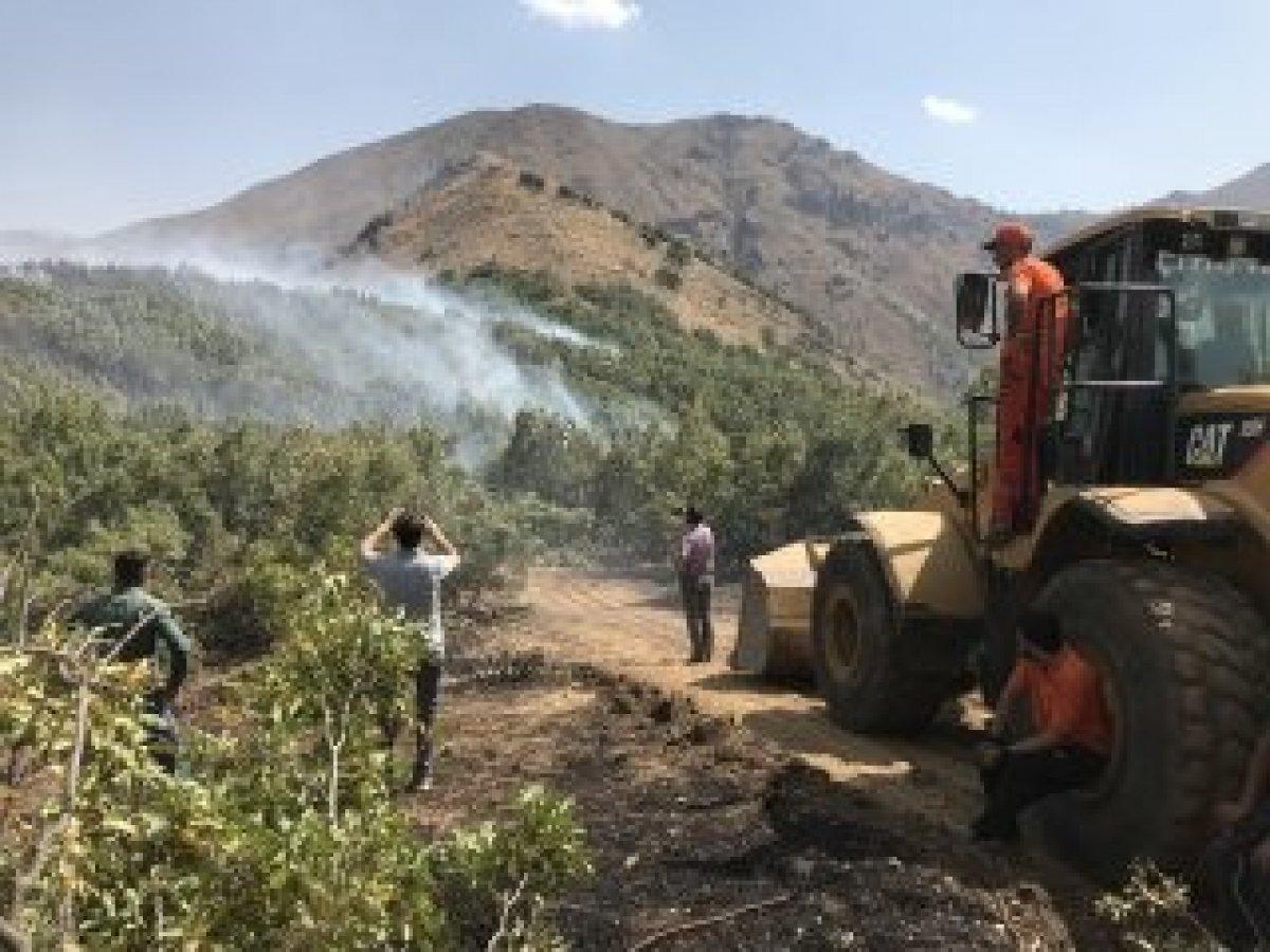 Şemdinli’de orman yangını kontrol altına alındı