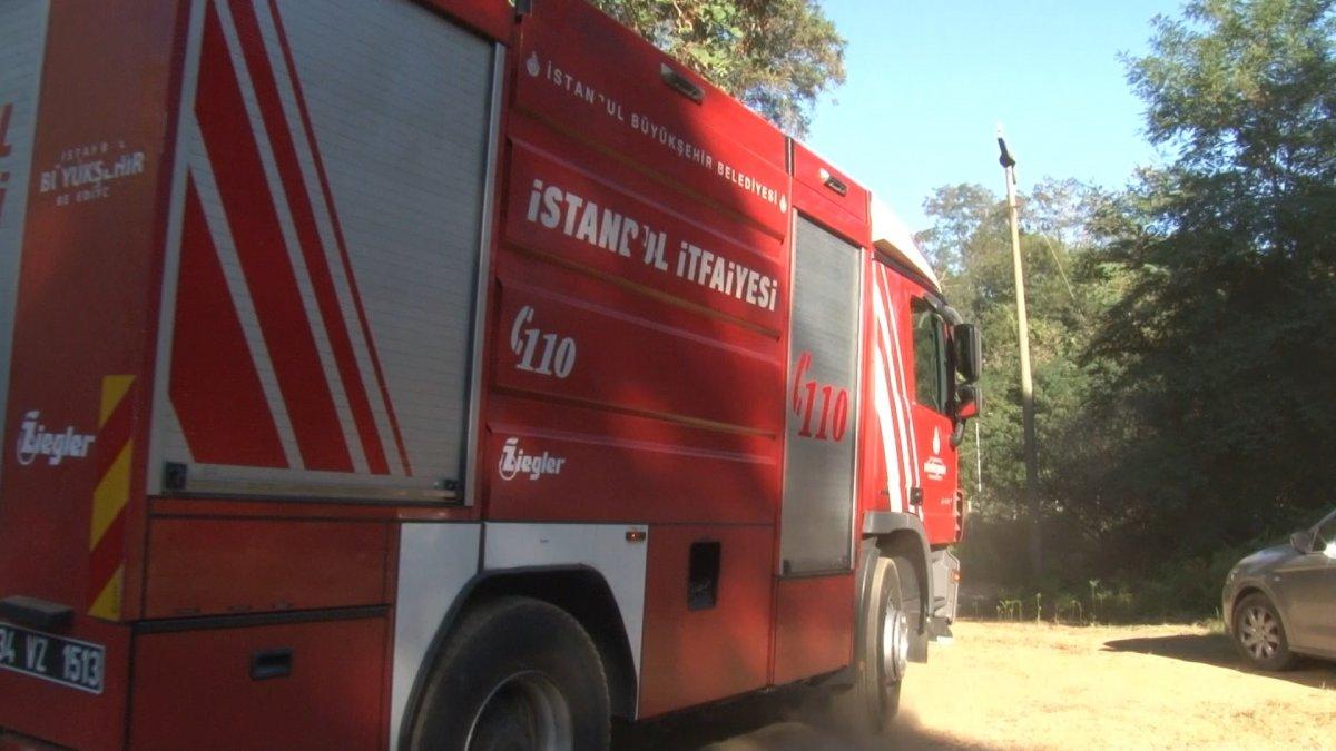 Anadolu Kavağı’nda yangın paniği