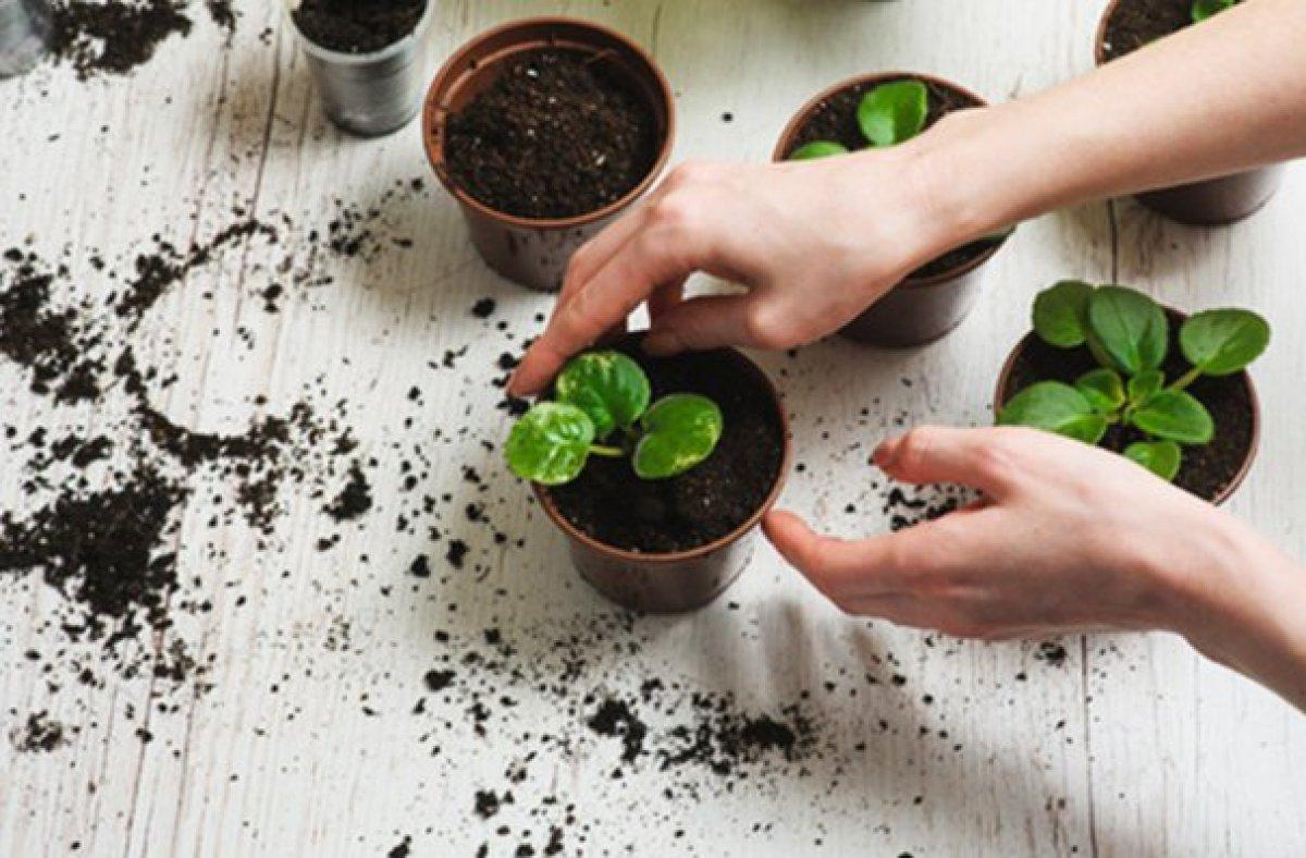 Değerli eşyaları 'nereye saklasam' derdine son verecek fikirler