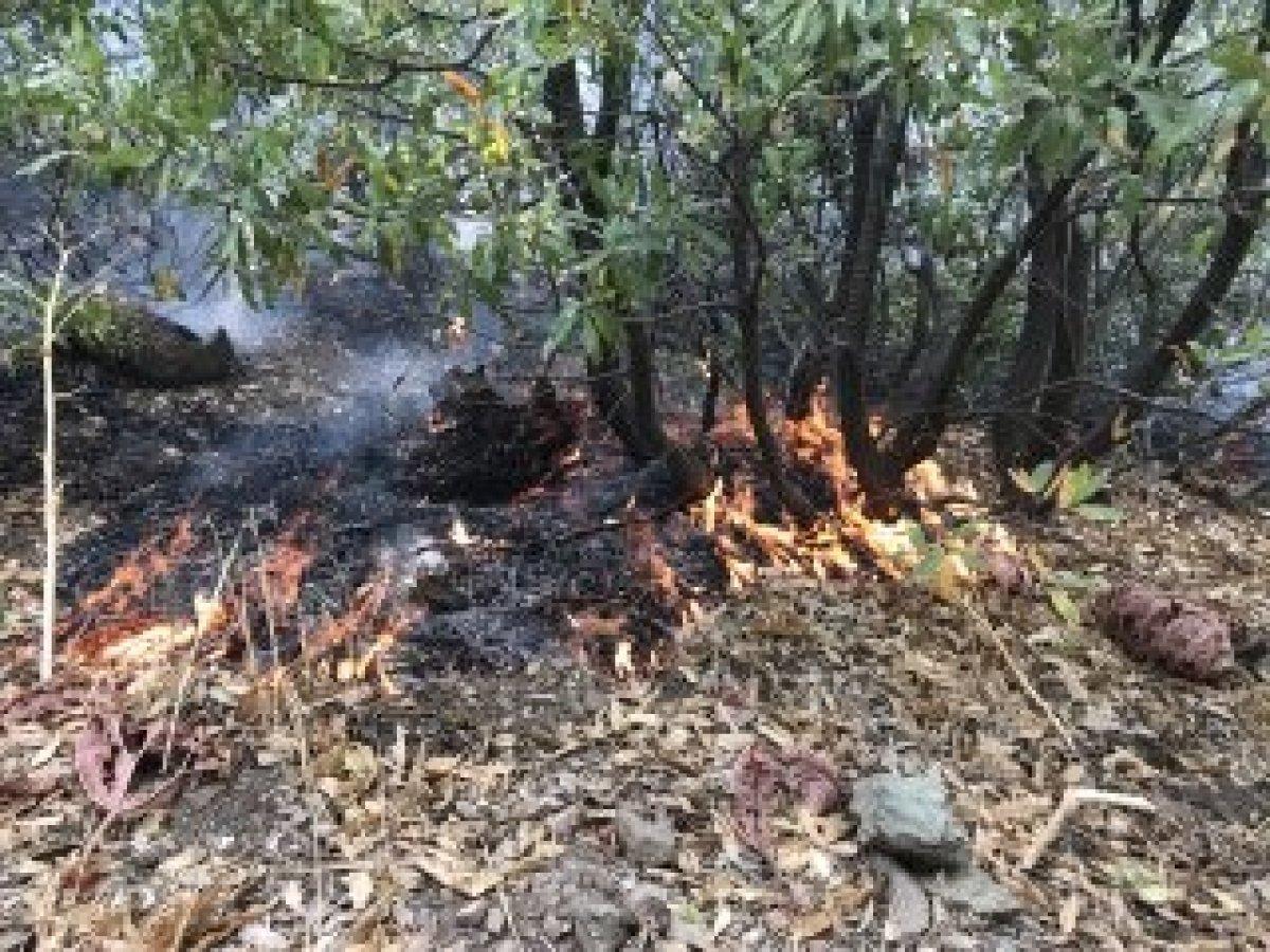 Şemdinli’de orman yangını kontrol altına alındı