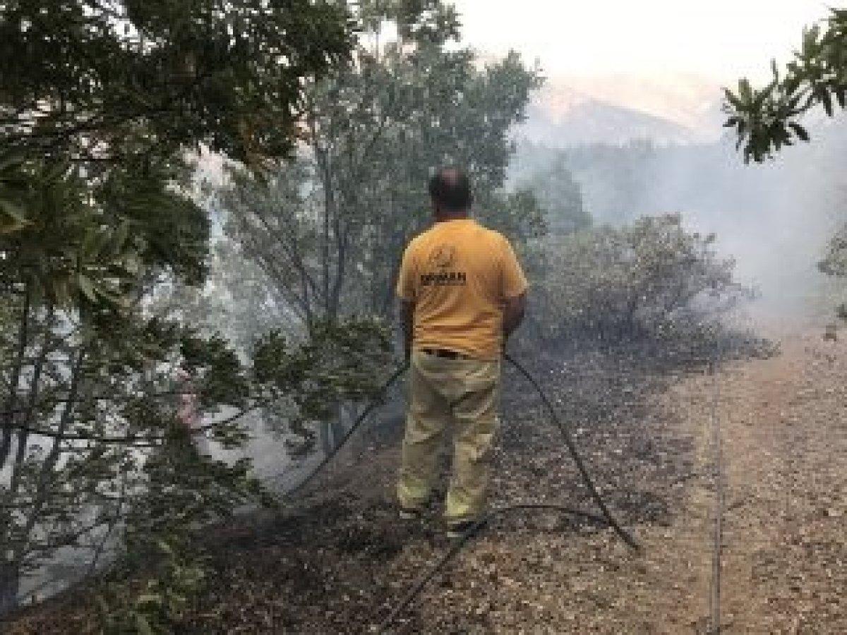 Şemdinli’de orman yangını kontrol altına alındı