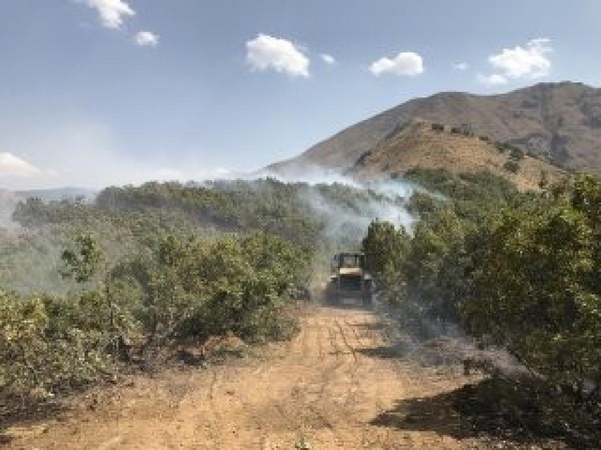 Şemdinli’de orman yangını kontrol altına alındı
