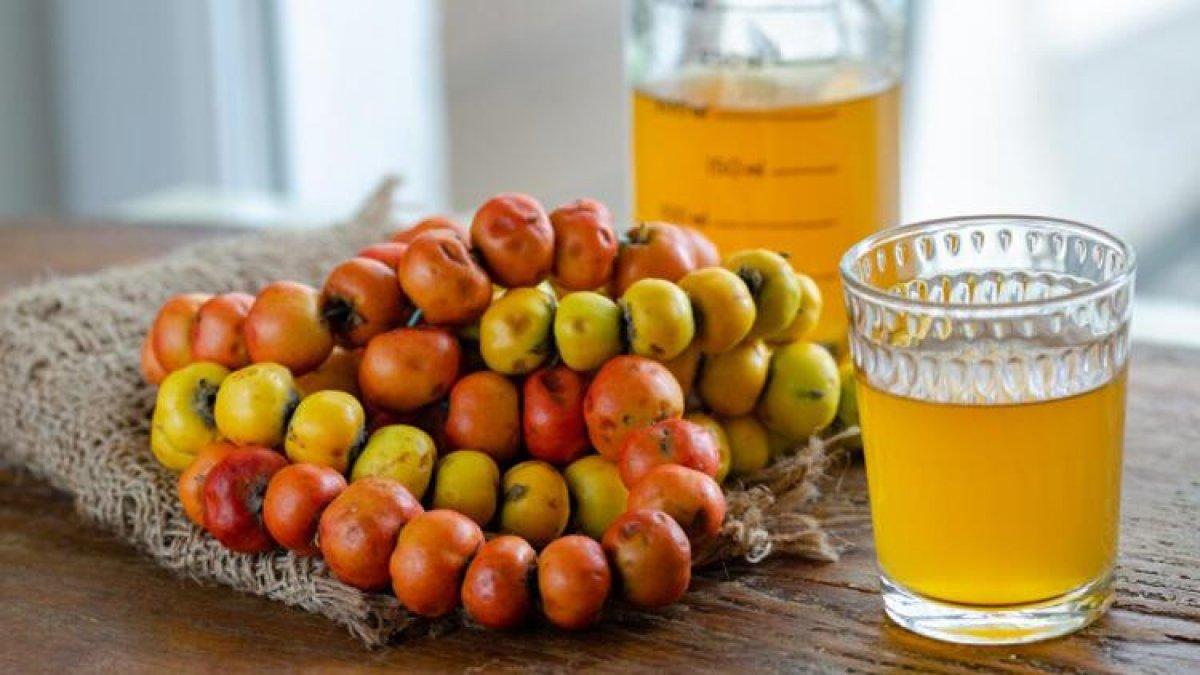 Kan dolaşımını hızlandıran bitkisel formül: Alıç sirkesi