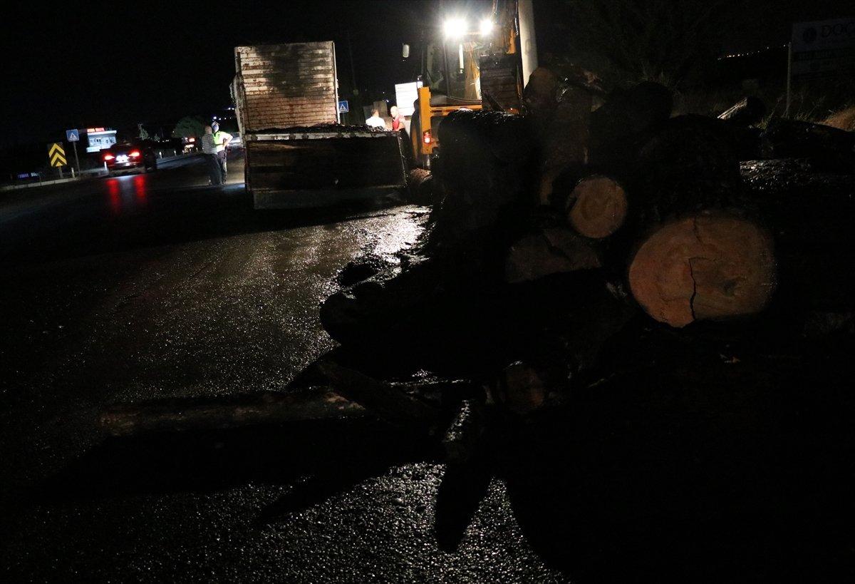 Denizli'de tomruk yüklü kamyon alev alev yandı