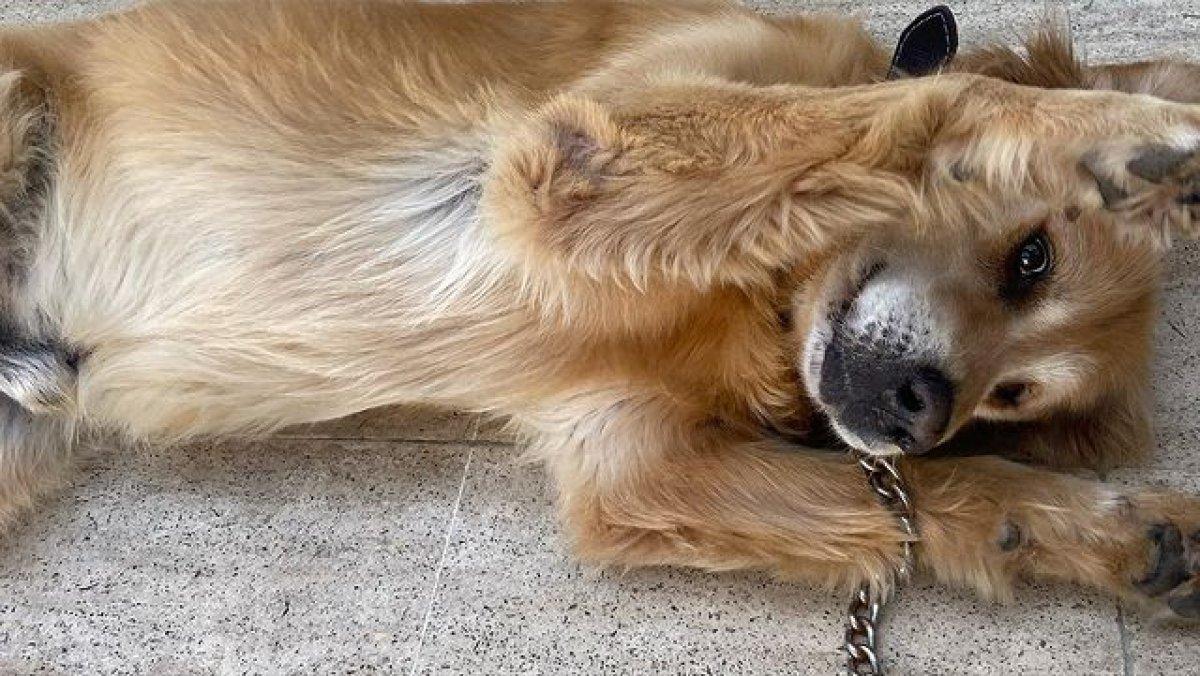 Yasmin Erbil'den yatak pozu