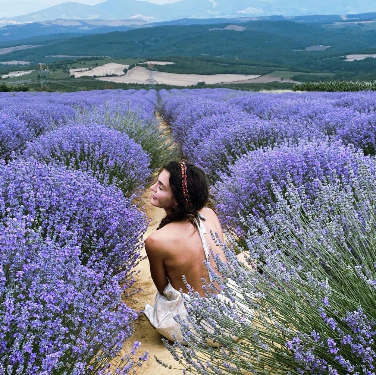 Ebru Şahin lavanta tarlasına girdi