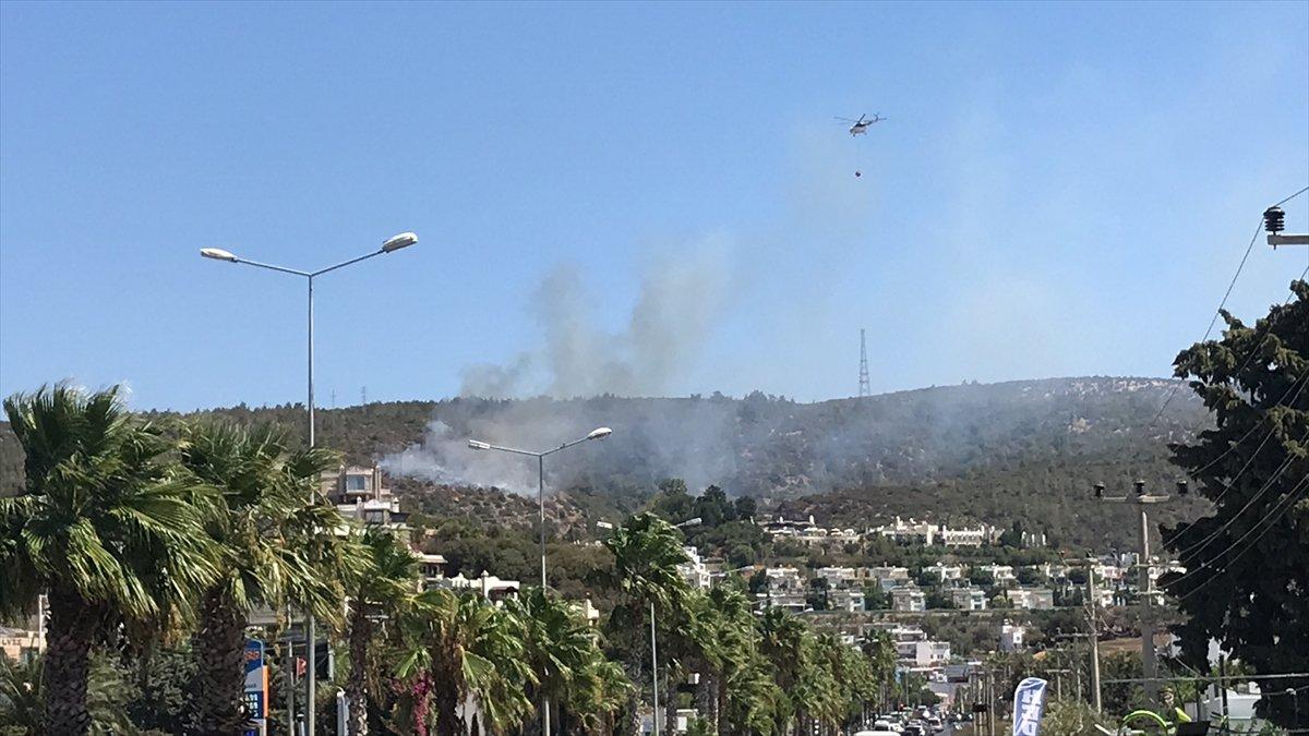 Bodrum’da orman yangını