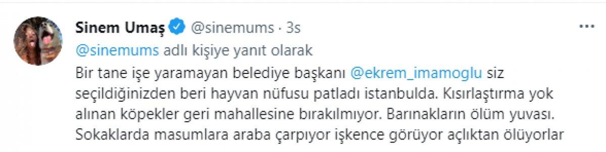 Esenyurt'ta İBB'nin kısırlaştırdığı köpeğin bağırsakları dışarı çıktı