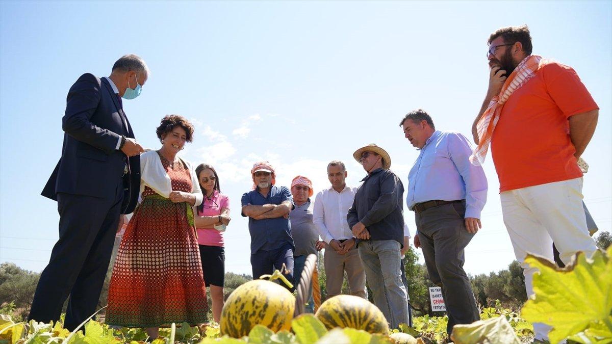 Çeşme kavunu tescillendi
