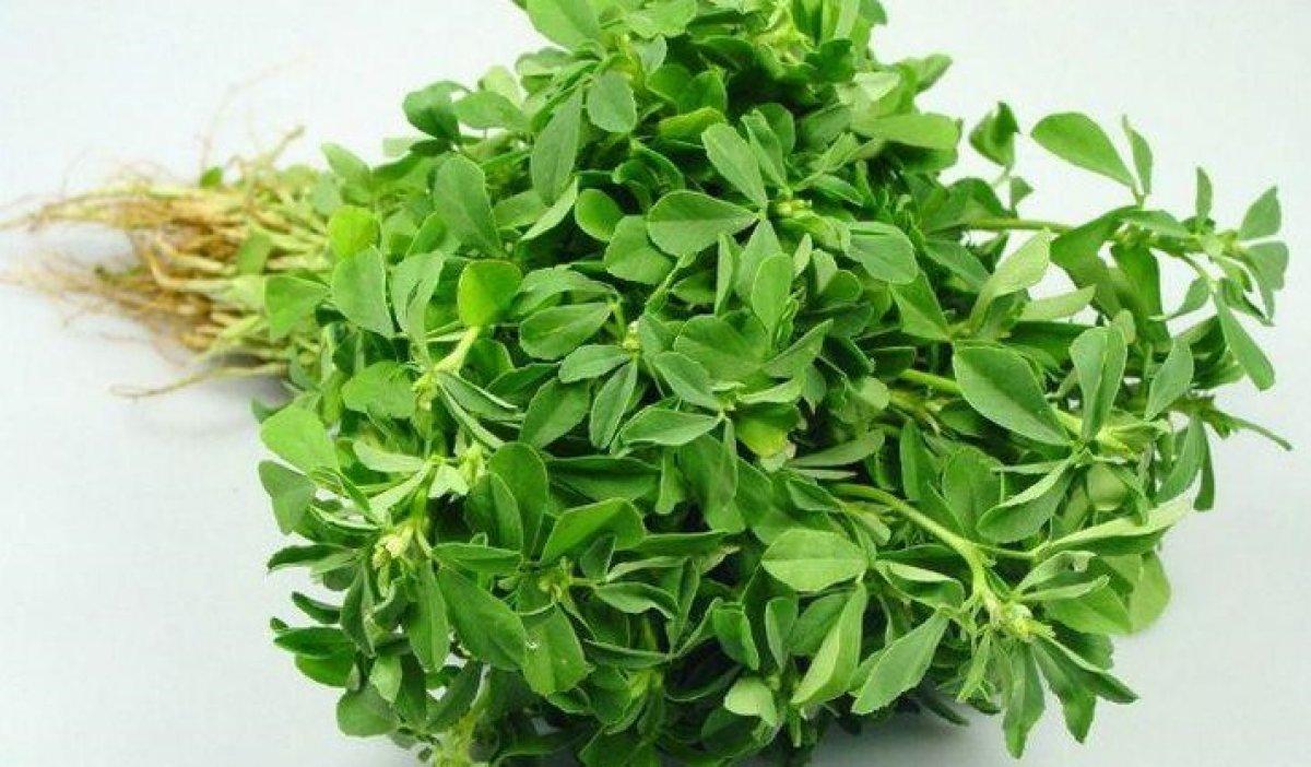 Karaciğer yağlanmasına karşı 7 doğal çözüm