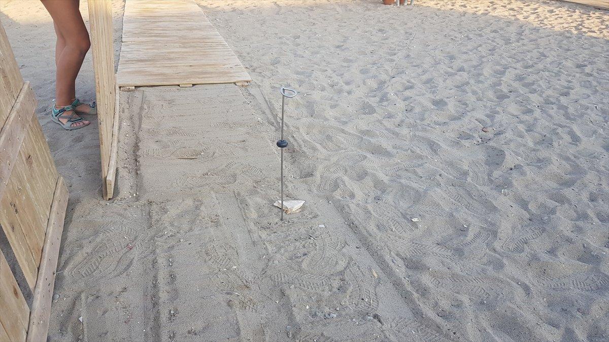 Antalya'da caretta carettaların ölümüne neden olan iki otele ceza