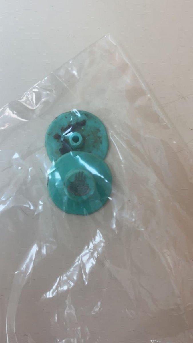 Esenyurt'ta İBB'nin kısırlaştırdığı köpeğin bağırsakları dışarı çıktı