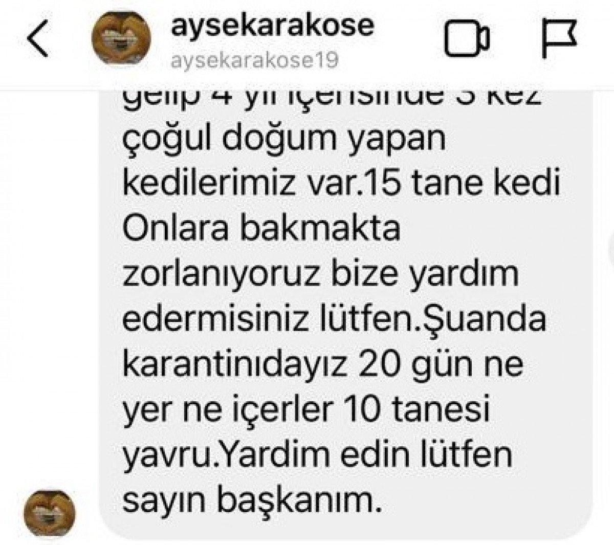 Çorum'da karantinaya alınan şahıs kedileri için yardım istedi