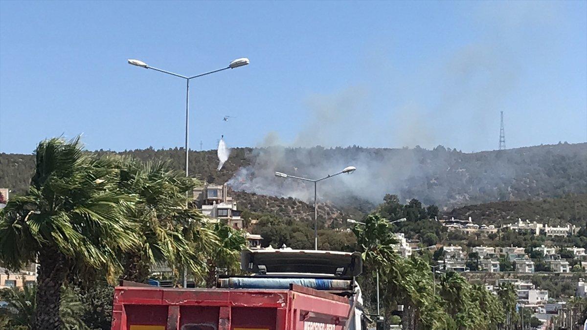 Bodrum’da orman yangını