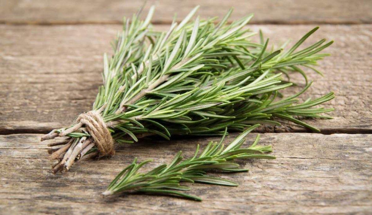 Karaciğer yağlanmasına karşı 7 doğal çözüm