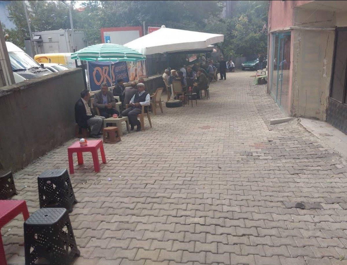 Giresun'da başı ve bacağı kesilmiş iki yavru kedi bulundu