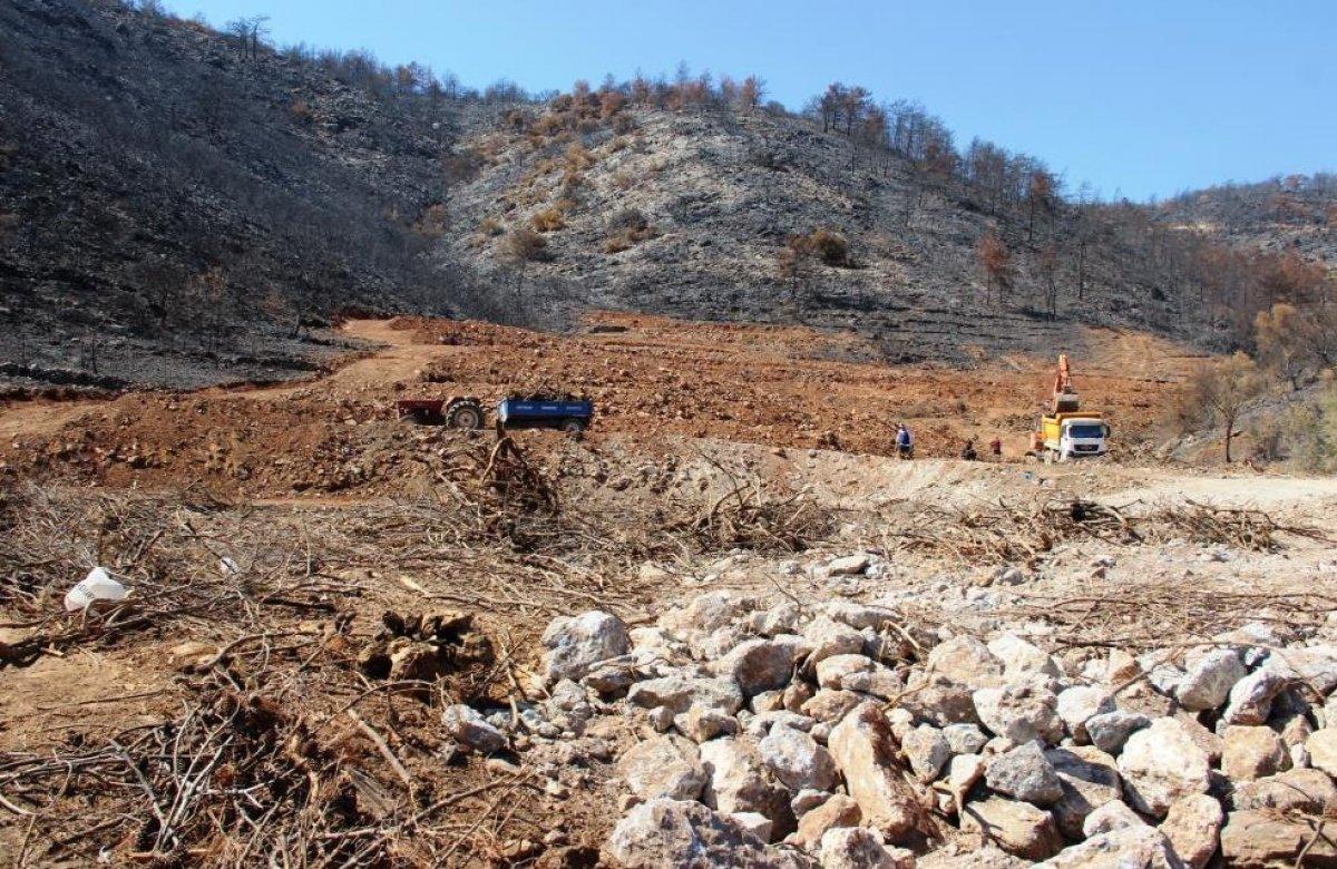 Milas’ta yanan ormanlık alanlara 'inşaat yapılıyor' iddiası yalan çıktı