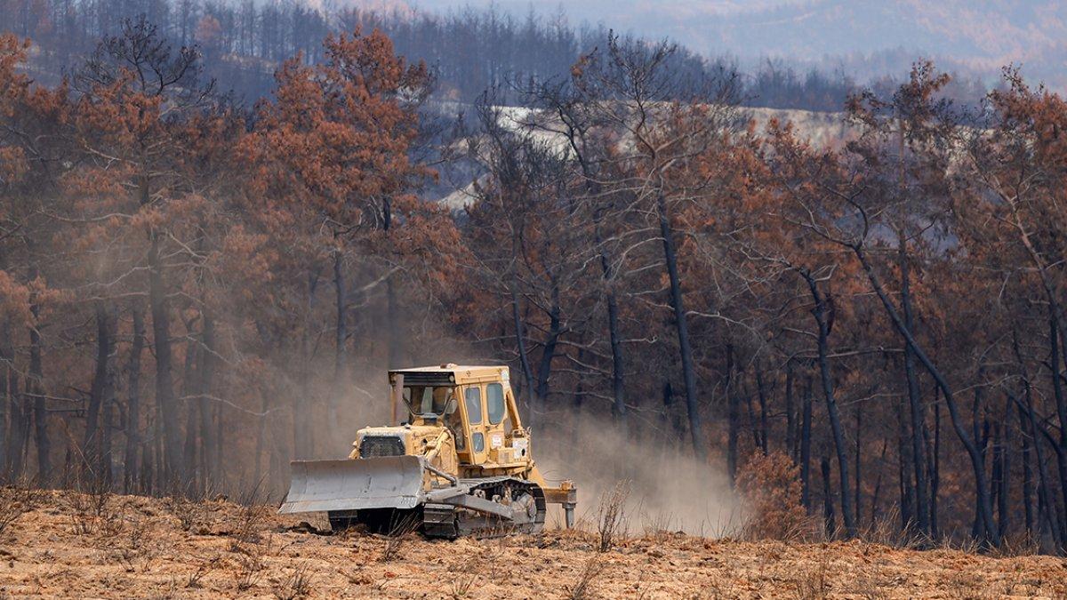 Antalya'da yanan ormanların yerine 100 milyon fidan