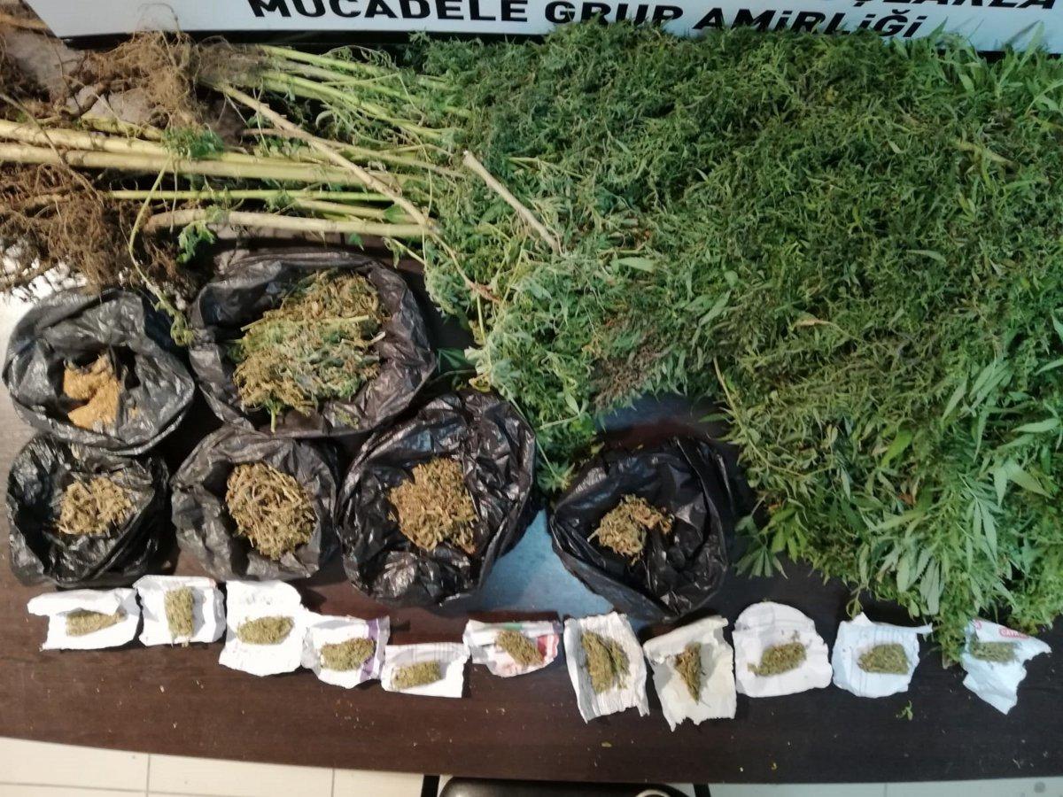 Hatay'da kenevir yetiştiren şahsa tutuklama