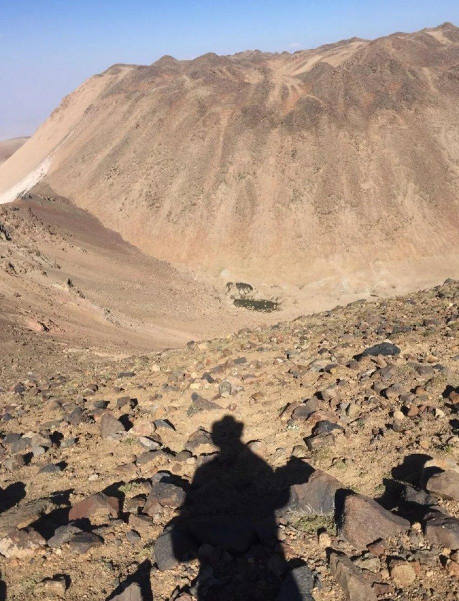 Süphan Dağı'nda 3 krater gölünün kuruduğu belirlendi