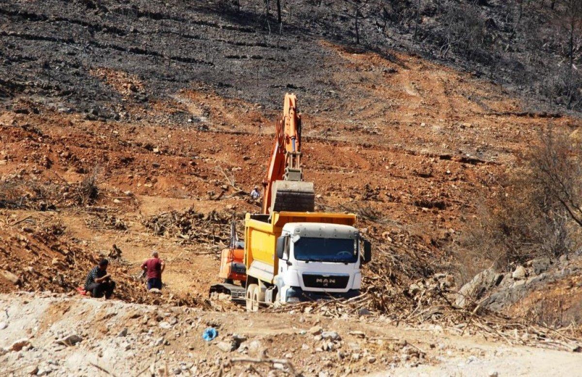 Milas’ta yanan ormanlık alanlara 'inşaat yapılıyor' iddiası yalan çıktı