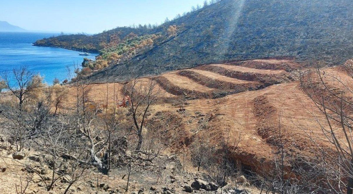 Milas’ta yanan ormanlık alanlara 'inşaat yapılıyor' iddiası yalan çıktı