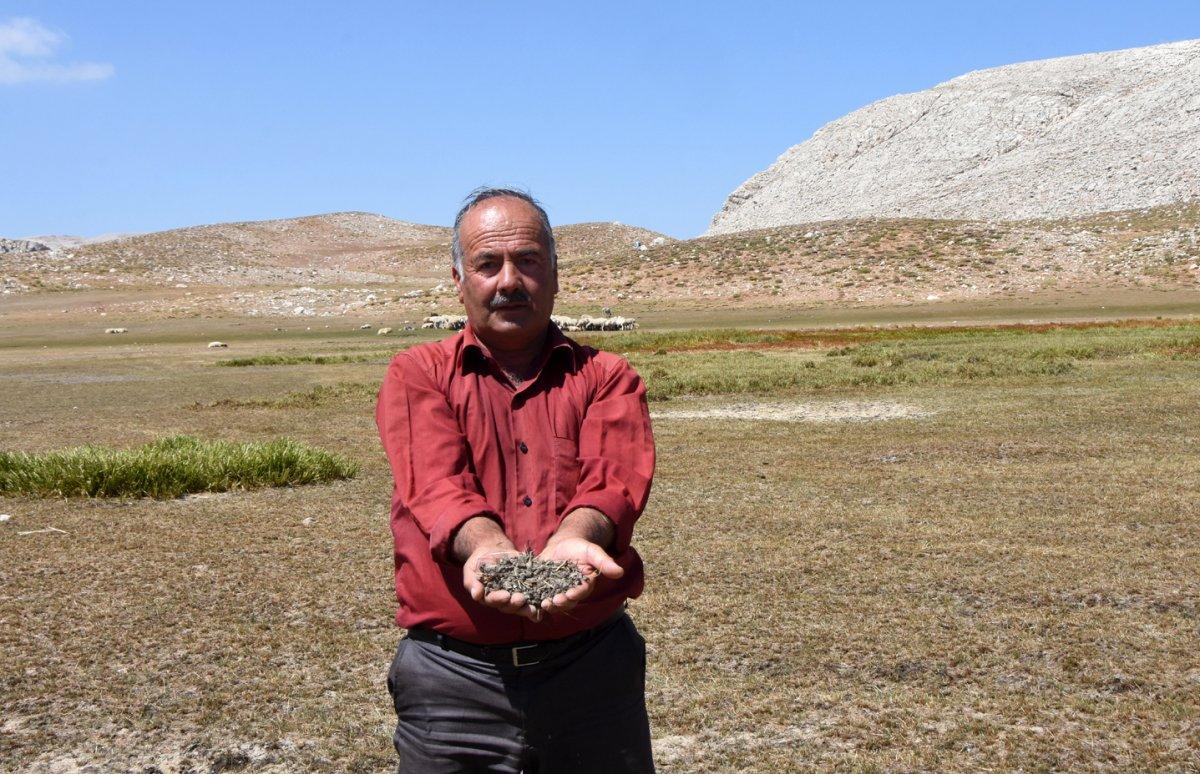 2 bin 500 rakımlı İkiz Göller kurudu, Yörükler zor durumda