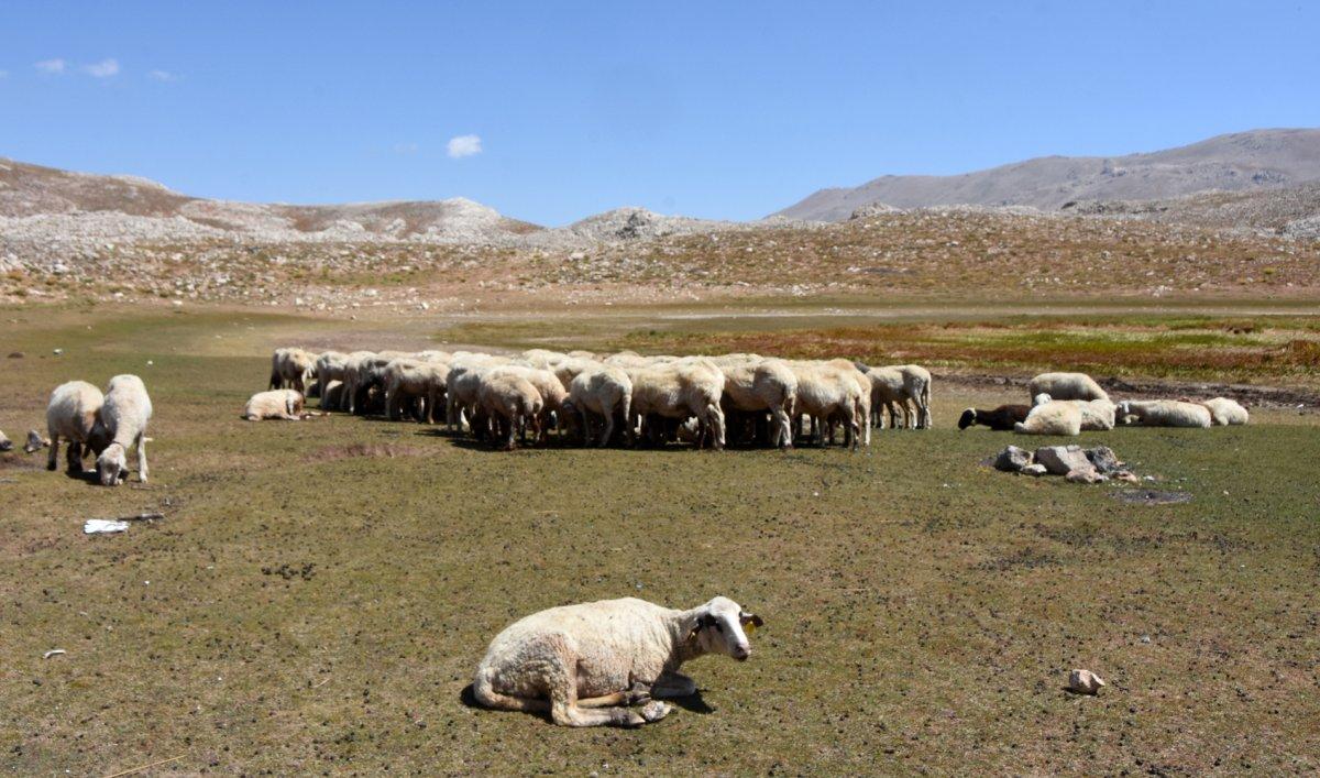 2 bin 500 rakımlı İkiz Göller kurudu, Yörükler zor durumda