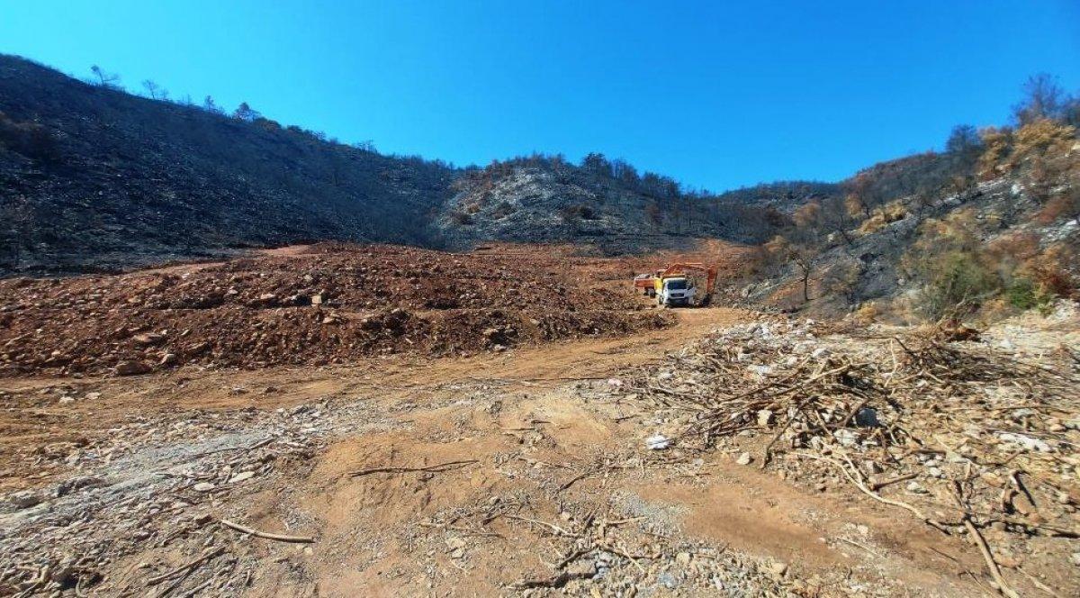 Milas’ta yanan ormanlık alanlara 'inşaat yapılıyor' iddiası yalan çıktı