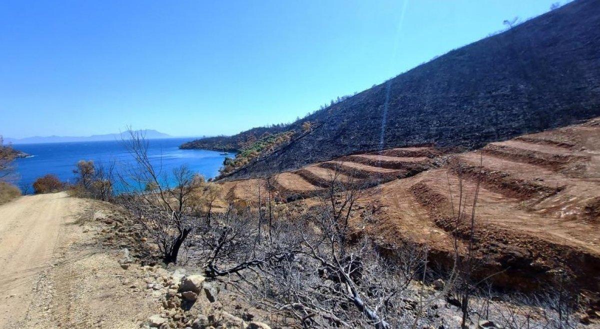 Milas’ta yanan ormanlık alanlara 'inşaat yapılıyor' iddiası yalan çıktı