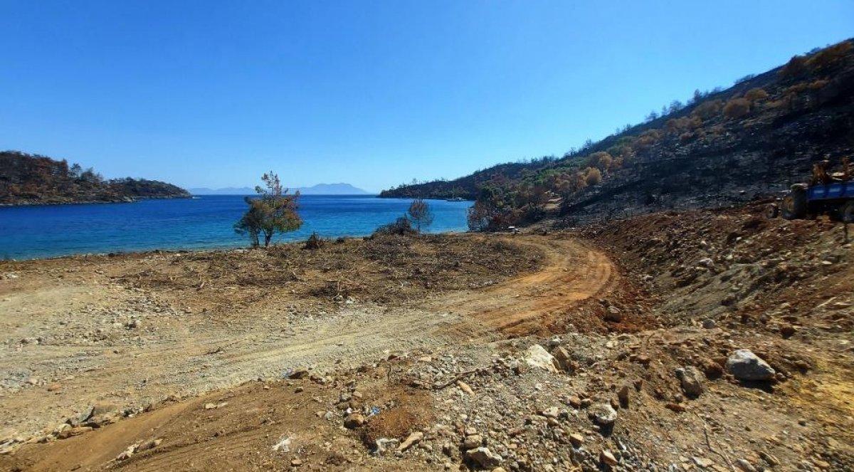 Milas’ta yanan ormanlık alanlara 'inşaat yapılıyor' iddiası yalan çıktı