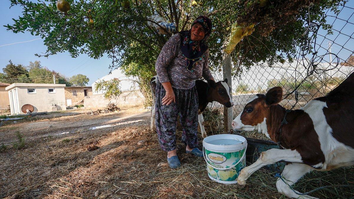 Manavgatlı Cemile Teyze, yangında yiten ameliyat parasına kavuştu