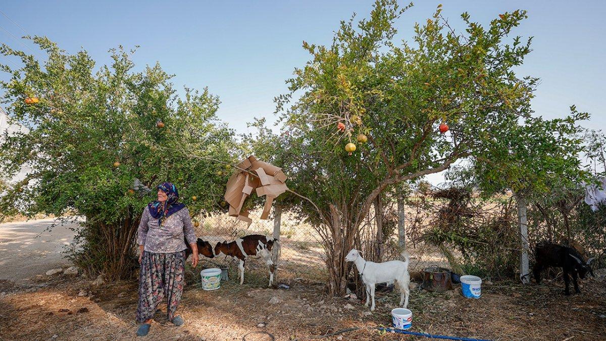 Manavgatlı Cemile Teyze, yangında yiten ameliyat parasına kavuştu