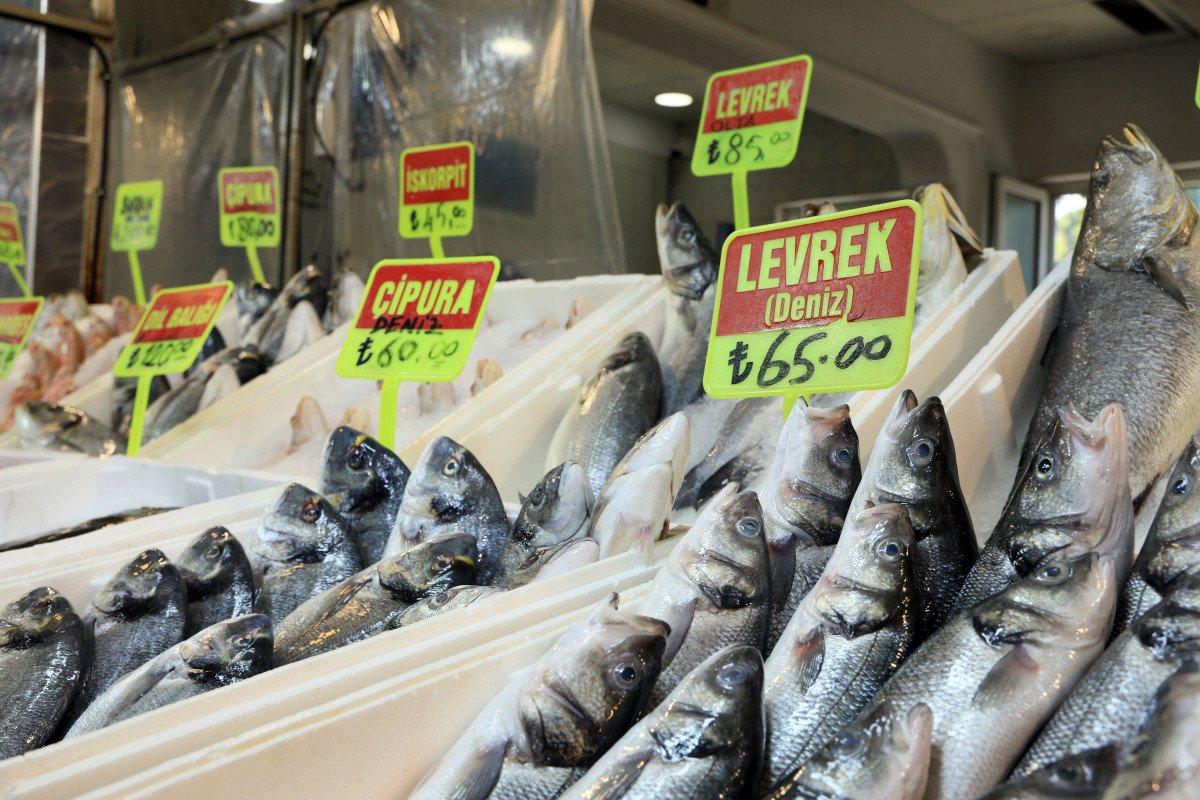 Akdeniz'de balık av yasağı 15 Eylül'de bitiyor