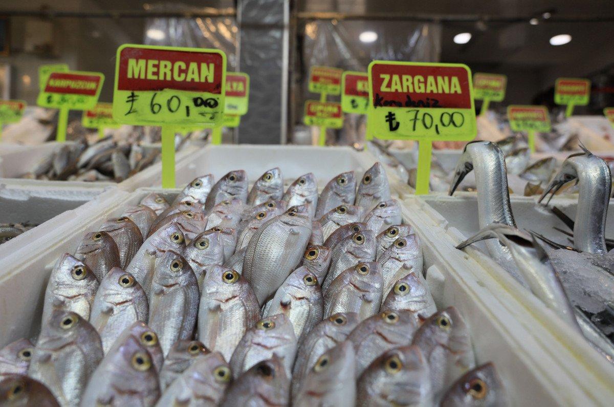 Akdeniz'de balık av yasağı 15 Eylül'de bitiyor