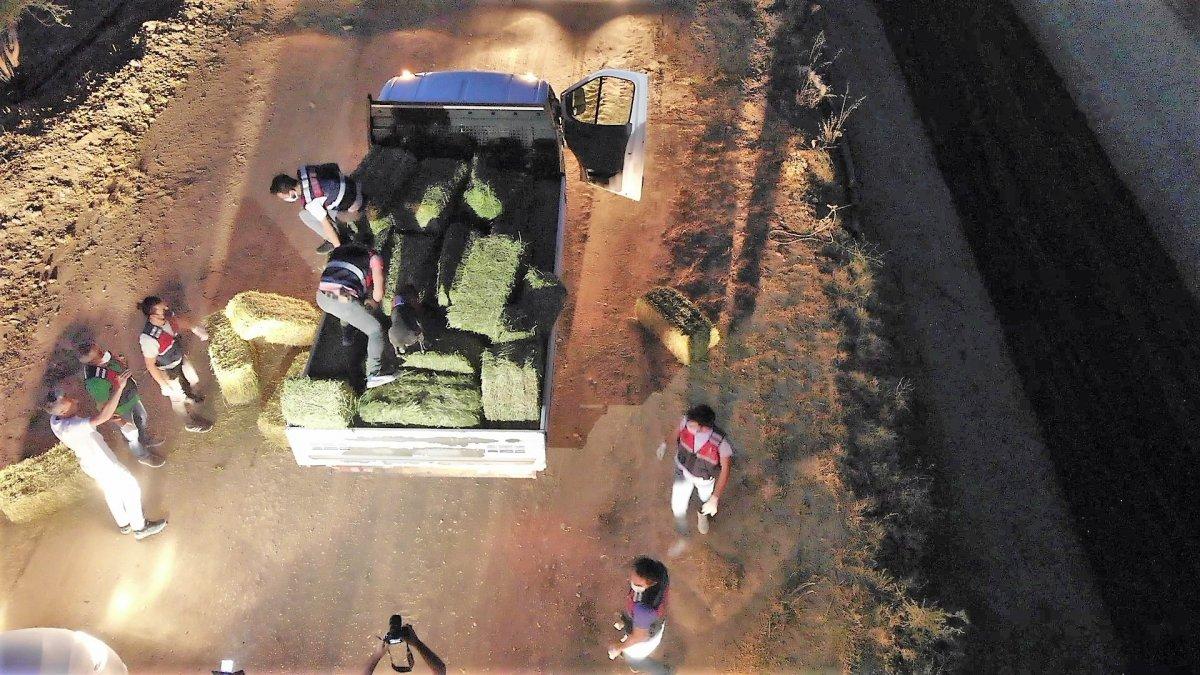 Denizli’de çiftçi, 285 kilogram esrarla yakalandı