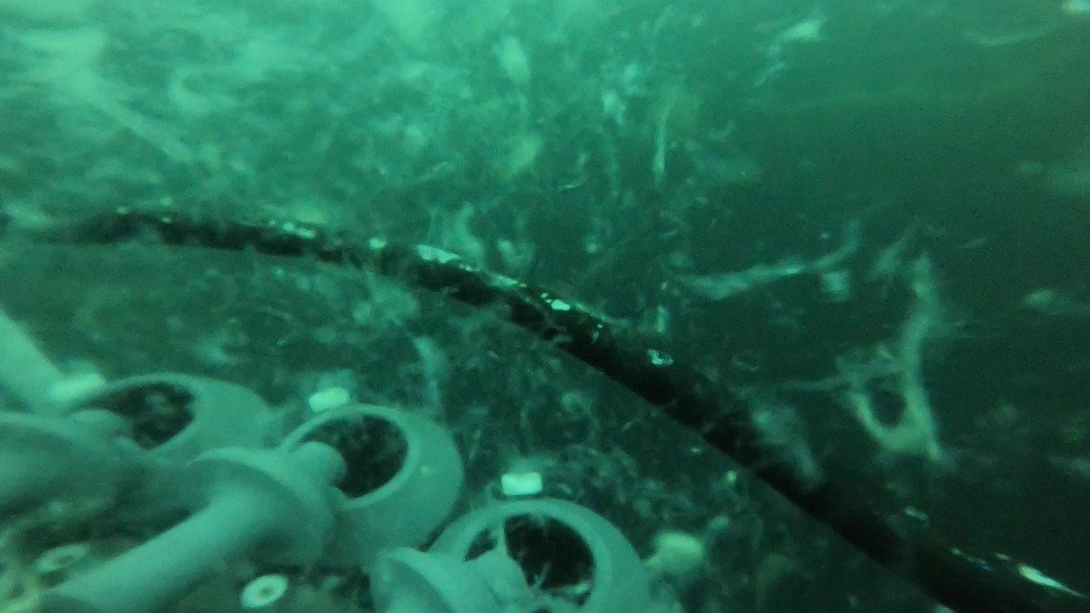 Araştırma gemisi Marmara'yı karış karış inceliyor