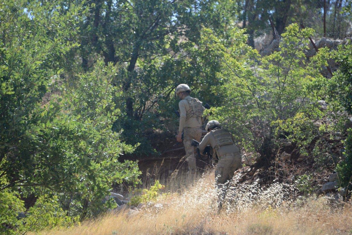 Mardin'deki bağ cinayeti için özel ekip kuruldu