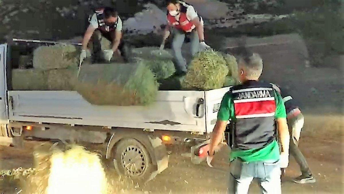 Denizli’de çiftçi, 285 kilogram esrarla yakalandı